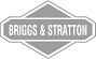 Briggs & Stratton - Raw