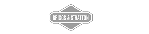 briggs.png